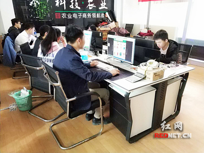 輸血變造血 衡陽市雁峰區以計算機技術培訓為抓手，走深走實產業扶貧路